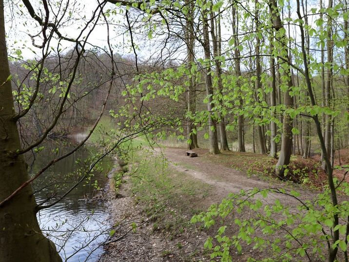 Ausflugsziel: Hütter Klosterteiche