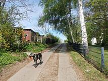 Naturlehrpfad um die Klosterteiche im Hütter Wohld - barrierearmer Weg