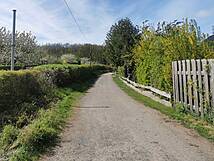 Naturlehrpfad um die Klosterteiche im Hütter Wohld - barrierearmer Weg