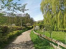 Naturlehrpfad um die Klosterteiche im Hütter Wohld - barrierearmer Weg