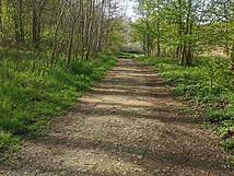 Naturlehrpfad um die Klosterteiche im Hütter Wohld - barrierearmer Weg
