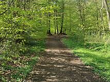 Naturlehrpfad um die Klosterteiche im Hütter Wohld - barrierearmer Weg