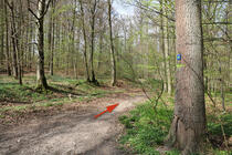 Naturlehrpfad um die Klosterteiche im Hütter Wohld