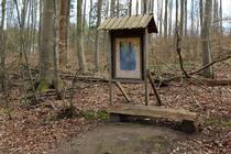 Naturlehrpfad um die Klosterteiche im Hütter Wohld - Infotafel