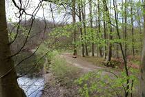 Naturlehrpfad um die Klosterteiche im Hütter Wohld