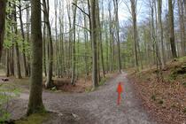 Naturlehrpfad um die Klosterteiche im Hütter Wohld