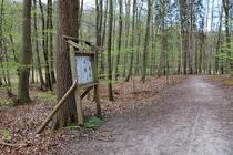 Naturlehrpfad um die Klosterteiche im Hütter Wohld - Infotafel