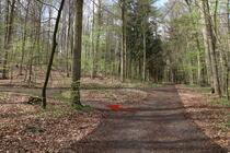 Naturlehrpfad um die Klosterteiche im Hütter Wohld