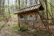 Naturlehrpfad um die Klosterteiche im Hütter Wohld - Infotafel