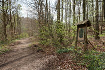 Naturlehrpfad um die Klosterteiche im Hütter Wohld - Infotafel
