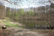 Naturlehrpfad um die Klosterteiche im Hütter Wohld