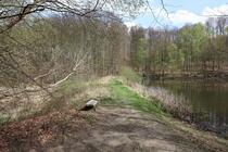 Naturlehrpfad um die Klosterteiche im Hütter Wohld