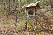 Naturlehrpfad um die Klosterteiche im Hütter Wohld - Infotafel
