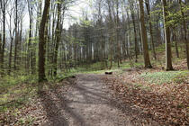 Naturlehrpfad um die Klosterteiche im Hütter Wohld