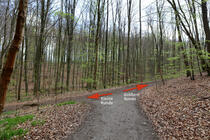 Naturlehrpfad um die Klosterteiche im Hütter Wohld - Weggabelung