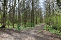 Naturlehrpfad um die Klosterteiche im Hütter Wohld - Forstmeisterschneise