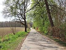 Naturlehrpfad um die Klosterteiche im Hütter Wohld - Weg zum Wald