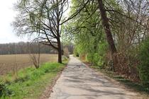 Naturlehrpfad um die Klosterteiche im Hütter Wohld - Weg zum Wald