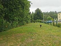 Hundeauslauf Gelbensande, bei Graal-Müritz