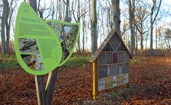 Aktivwald Trimm-Dich-Pfad Graal-Müritz