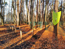 Aktivwald Trimm-Dich-Pfad Graal-Müritz - Parkour Knieheblauf