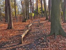 Aktivwald Trimm-Dich-Pfad Graal-Müritz - Parkour Balancieren