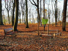 Aktivwald Trimm-Dich-Pfad Graal-Müritz - Übungen für Brust / Trizeps
