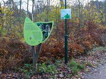 Aktivwald Trimm-Dich-Pfad Graal-Müritz