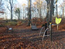 Aktivwald Trimm-Dich-Pfad Graal-Müritz - Sit up, Crunches