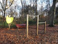 Aktivwald Trimm-Dich-Pfad Graal-Müritz - Übungen für Rücken / Bizeps