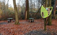 Aktivwald Trimm-Dich-Pfad Graal-Müritz