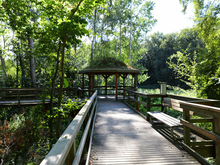 Pavillon am Mahlbusen in Graal-Müritz