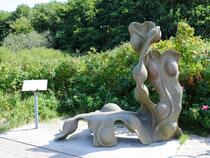 GroßArtige Küstenflora und -fauna – Blasentang