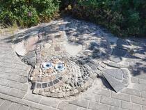 GroßArtige Küstenflora und -fauna – Flunder