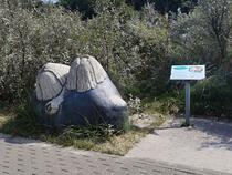 GroßArtige Küstenflora und -fauna – Seepocke