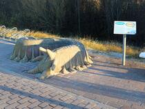 GroßArtige Küstenflora und -fauna – Seeringelwurm