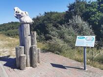 GroßArtige Küstenflora und -fauna – Silbermöwe