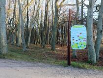 Ostseelehrpfad Graal-Müritz - Küstentypen