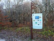 Ostseelehrpfad Graal-Müritz