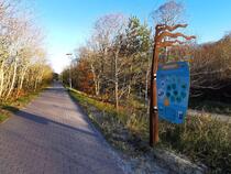 Ostsee-Lehrpfad im Ostseeheilbad Graal-Müritz
