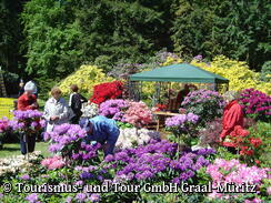 Rhododendronparkfest