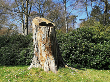 Lyrikbuche Graal-Müritz