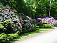 Rhododendronpark Graal-Müritz