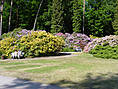 Rhododendronpark Graal-Müritz