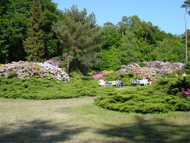 Rhododendronpark Graal-Mritz