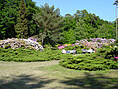 Rhododendronpark Graal-Müritz