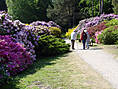 Rhododendronpark Graal-Müritz