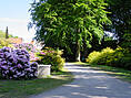 Rhododendronpark Graal-Müritz