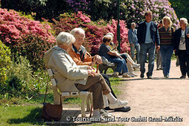 Rhododendronpark Graal-Müritz