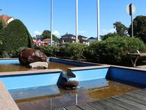 Brunnen am Haus des Gastes